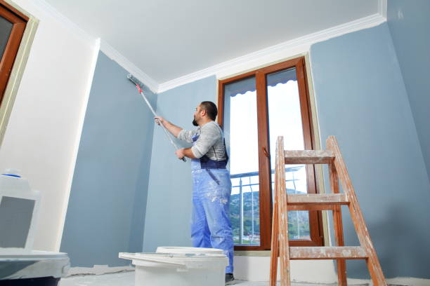 Best Eco-Friendly and Low-VOC Painting  in Ventress, LA